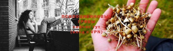 соль курить ск Гусь-Хрустальный
