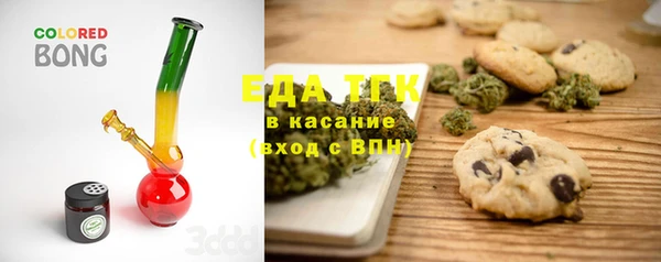 ГАЛЛЮЦИНОГЕННЫЕ ГРИБЫ Гусев