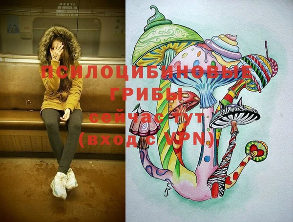 ГАЛЛЮЦИНОГЕННЫЕ ГРИБЫ Гусев
