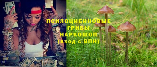 ГАЛЛЮЦИНОГЕННЫЕ ГРИБЫ Гусев