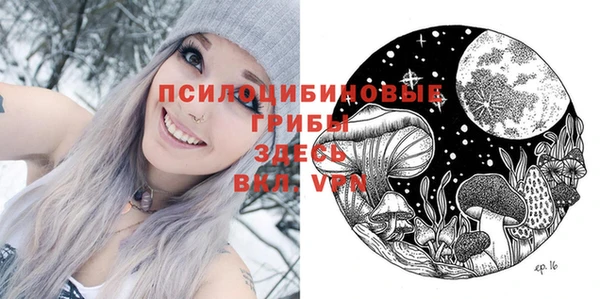 тгк Дмитров