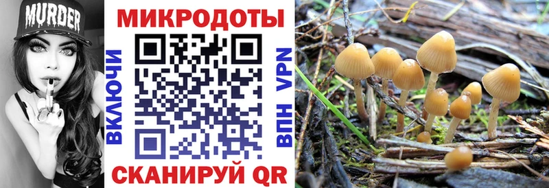 Псилоцибиновые грибы мицелий Купить закладки Демидов